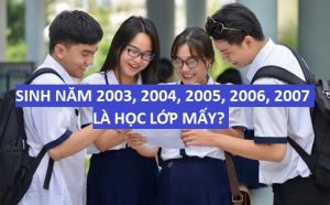 Sinh năm 2003, 2004, 2005, 2006, 2007 học lớp mấy ? | baonhieu.net